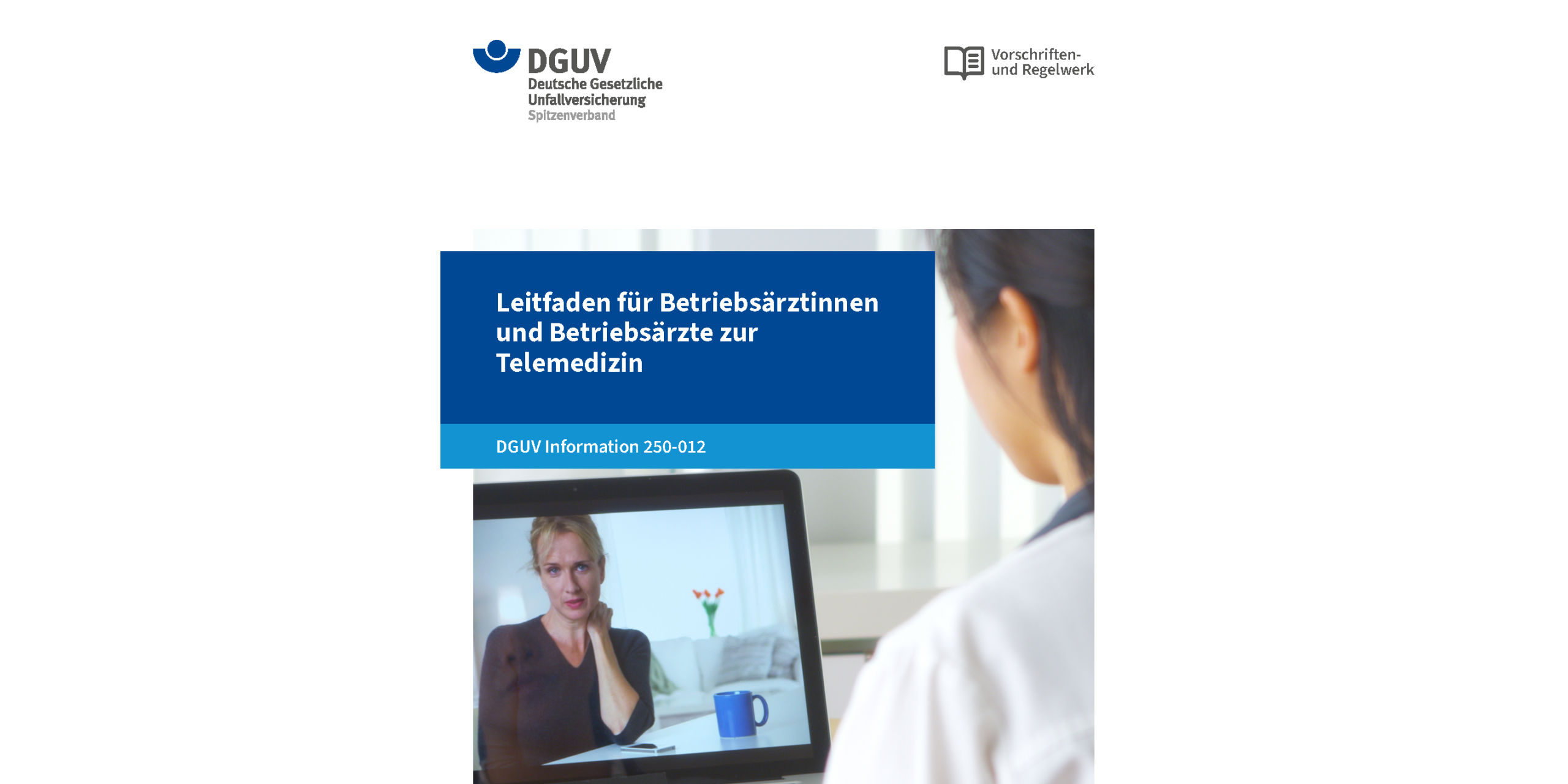 DGUV Information 250-012 Telemedizin Leitfaden